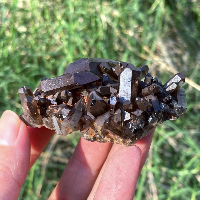 May include: A cluster of dark brown smoky quartz crystals. The crystals have a natural, rough texture and are held in a hand against a backdrop of green grass. The quartz has a deep, rich color and a sparkling appearance.