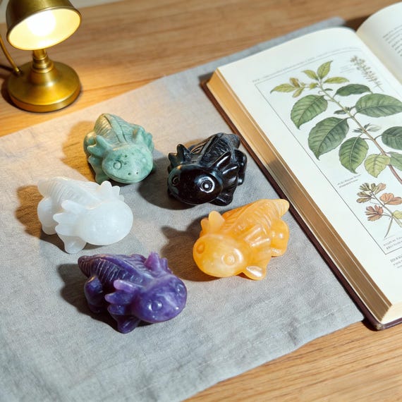 5-stone Axolotl Carving Set Lepidolite White Jade Obsidian