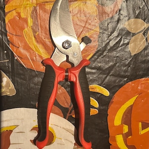 May include: A pair of gardening shears with a silver blade and red and black handles. The shears are designed for trimming plants and are set against a backdrop of orange and yellow fall-themed decorations.