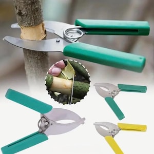 May include: A set of pruning shears with green handles and silver blades. The image shows the shears in use, cutting through a tree branch. Additional shears with green and yellow handles are also displayed.