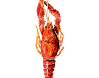 Crawfish Watercolor Painting 9”x12” *Original* NOT A PRINT