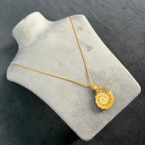 Może przedstawiać: Złoty naszyjnik z wisiorkiem z motywem skamieniałości w kształcie spirali. Wisiorek zawieszony jest na delikatnym, złotym łańcuszku. Naszyjnik jest prezentowany na szarej figurze manekina na ciemnym tle.