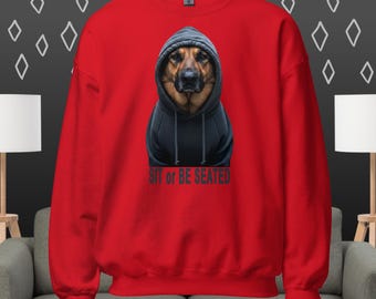 Sweatshirt Dog in a Hoodie