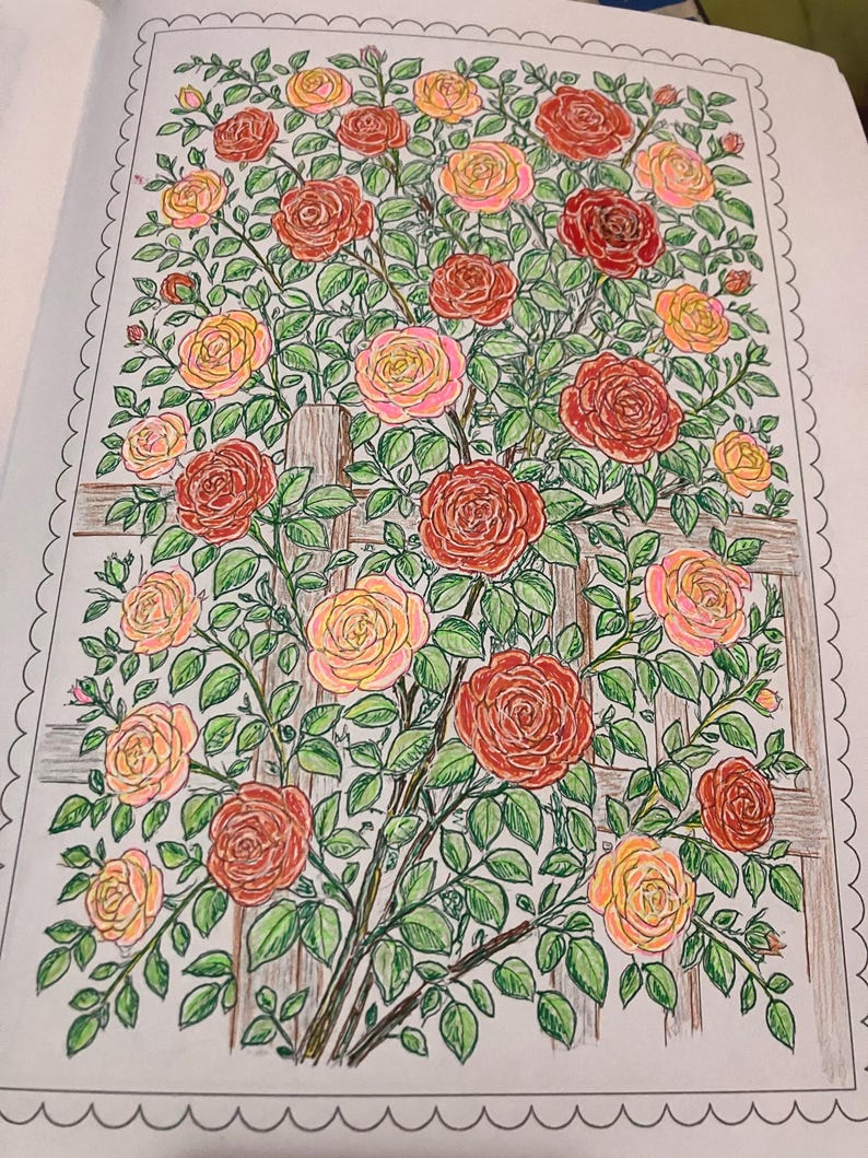 Beautiful Florals Coloring Book for Adults and Teens – Relaxing Flower Designs, Stress Relief & Mindful Coloring to Soothe the Soul image 14