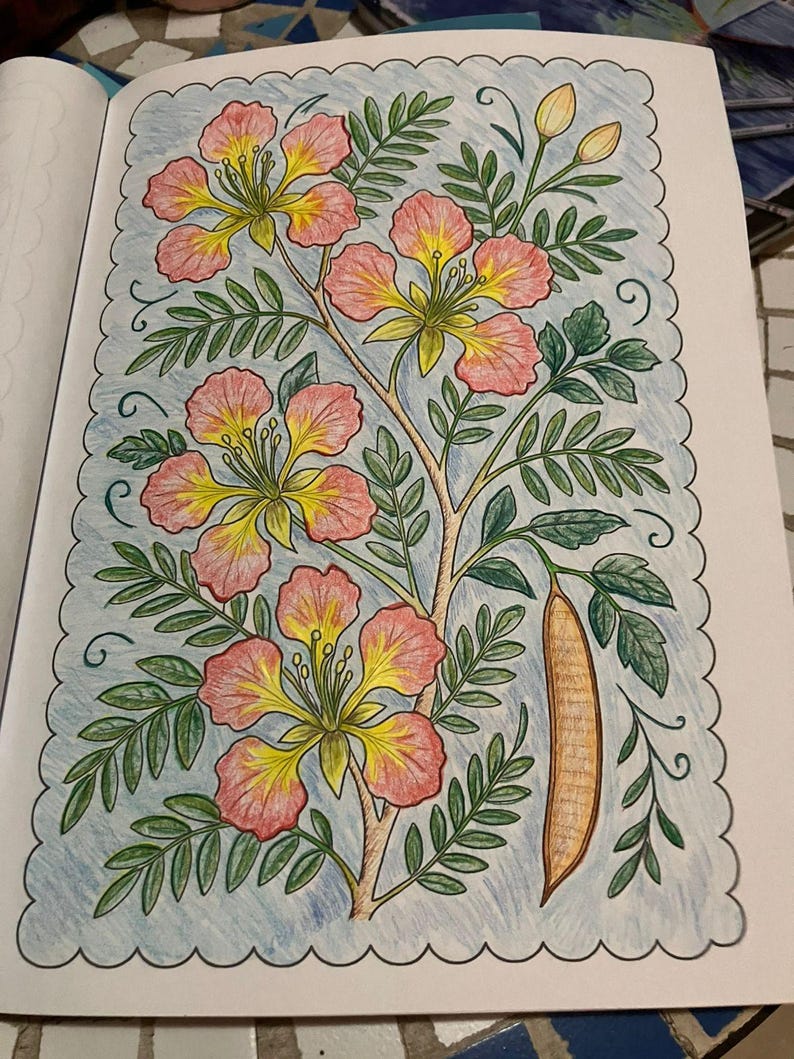 May include: A detailed coloring book page featuring a floral illustration. The image showcases pink and yellow flowers with green leaves and a brown seed pod. The artwork is framed by a light blue border with a scalloped edge.