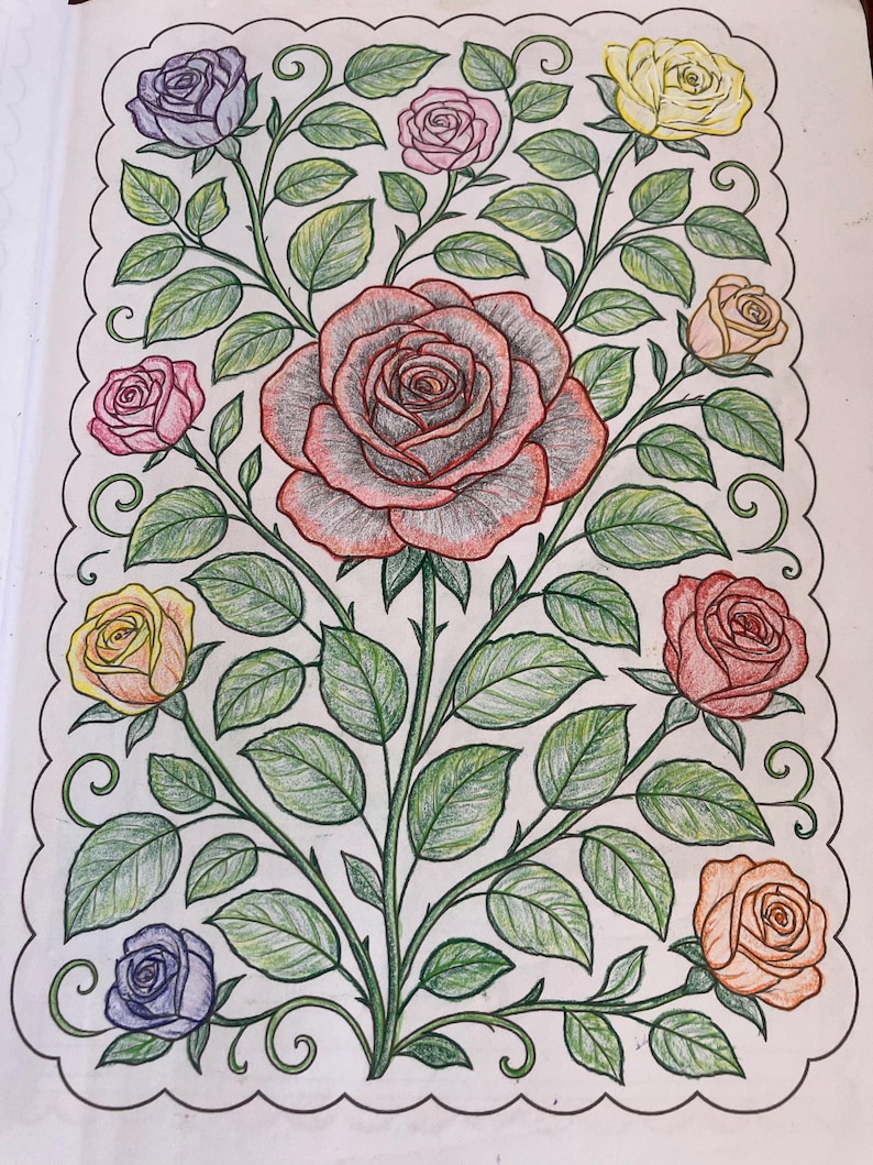 Beautiful Florals Coloring Book for Adults and Teens – Relaxing Flower Designs, Stress Relief & Mindful Coloring to Soothe the Soul image 9