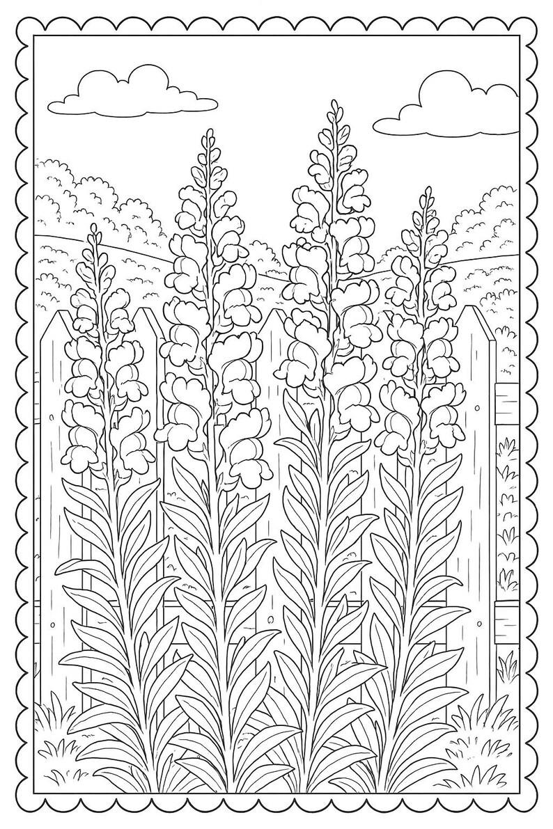 May include: Black and white line art illustration of tall flowers in front of a wooden fence. The flowers have long stems and clustered blooms. The background includes clouds and foliage, all within a decorative scalloped border.