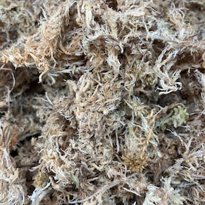 Langvezelig veenmos -1/2 gallon gedroogd