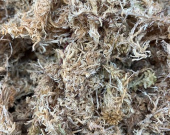Long Fiber Sphagnum Moss -1/2 Gallon Dried