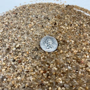 May include: Close-up of a pile of small, light-colored gravel, with a silver quarter coin for scale. The gravel appears to be a mix of beige, tan, and clear stones. The quarter shows the profile of George Washington.