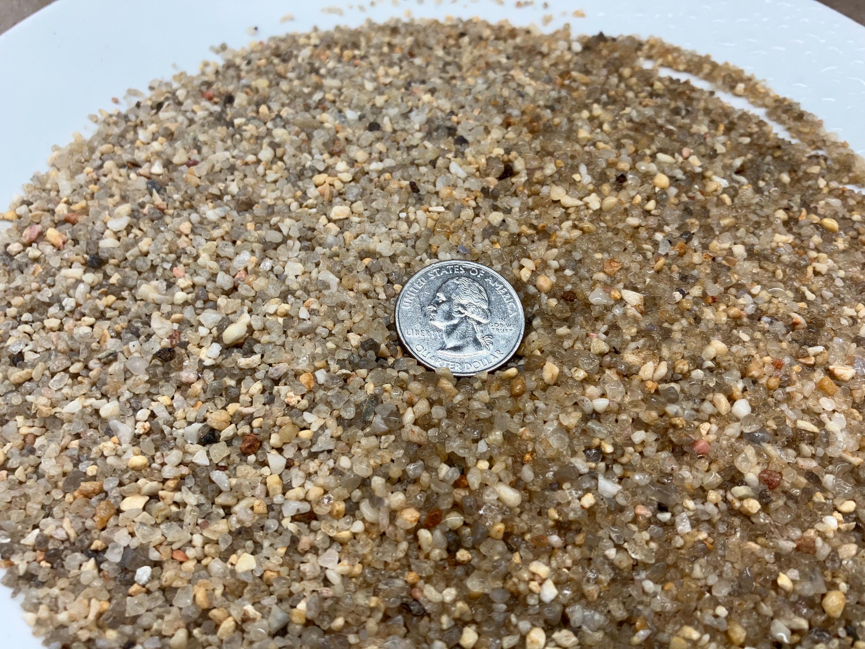 Extra Coarse Horticulture Sand for Plants Cactus, Succulents, Bonsai ...