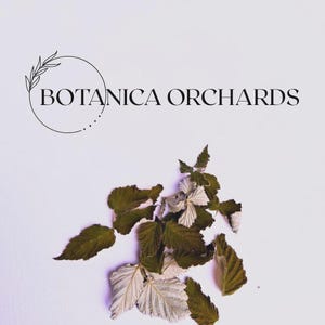 May include: A white background with the text "BOTANICA ORCHARDS" in black, with a circular floral design. Dried green and white leaves are scattered across the bottom right corner of the image.