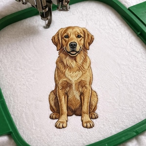 Golden Retriever, Machine Embroidery Design, Sitting Dog Embroidery Pattern, Goldie Golden Dog Breed, Boston Terrier, Tote Bag For Dog Lover