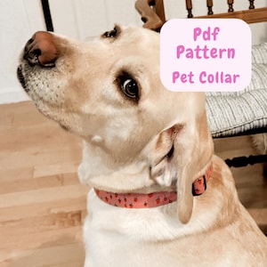 May include: A light-colored Labrador Retriever wearing a pink pet collar adorned with small red strawberry designs. The collar is fastened around the dog's neck. A pink rectangle with the text "Pdf Pattern Pet Collar" is in the background.