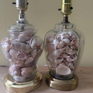 May include: A pair of table lamps with clear glass bodies filled with assorted natural seashells. Each lamp features a round brass-toned metal base and a metallic socket at the top. The left lamp has a rounded glass shape, while the right lamp is square.