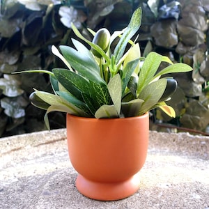 May include: A small artificial olive plant with green leaves and dark olives potted in a smooth, matte terracotta-colored ceramic planter with a rounded base and a pedestal foot, showcasing a simple and clean design for indoor display.