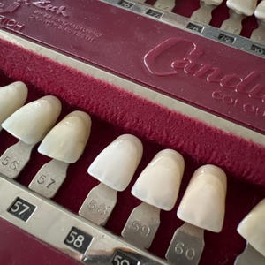Può includere: Primo piano di una guida colori dentale con più denti artificiali. La guida è una custodia bordeaux con interno in velluto rosso. Ogni dente è montato su una linguetta metallica con un numero. I denti variano di tonalità.