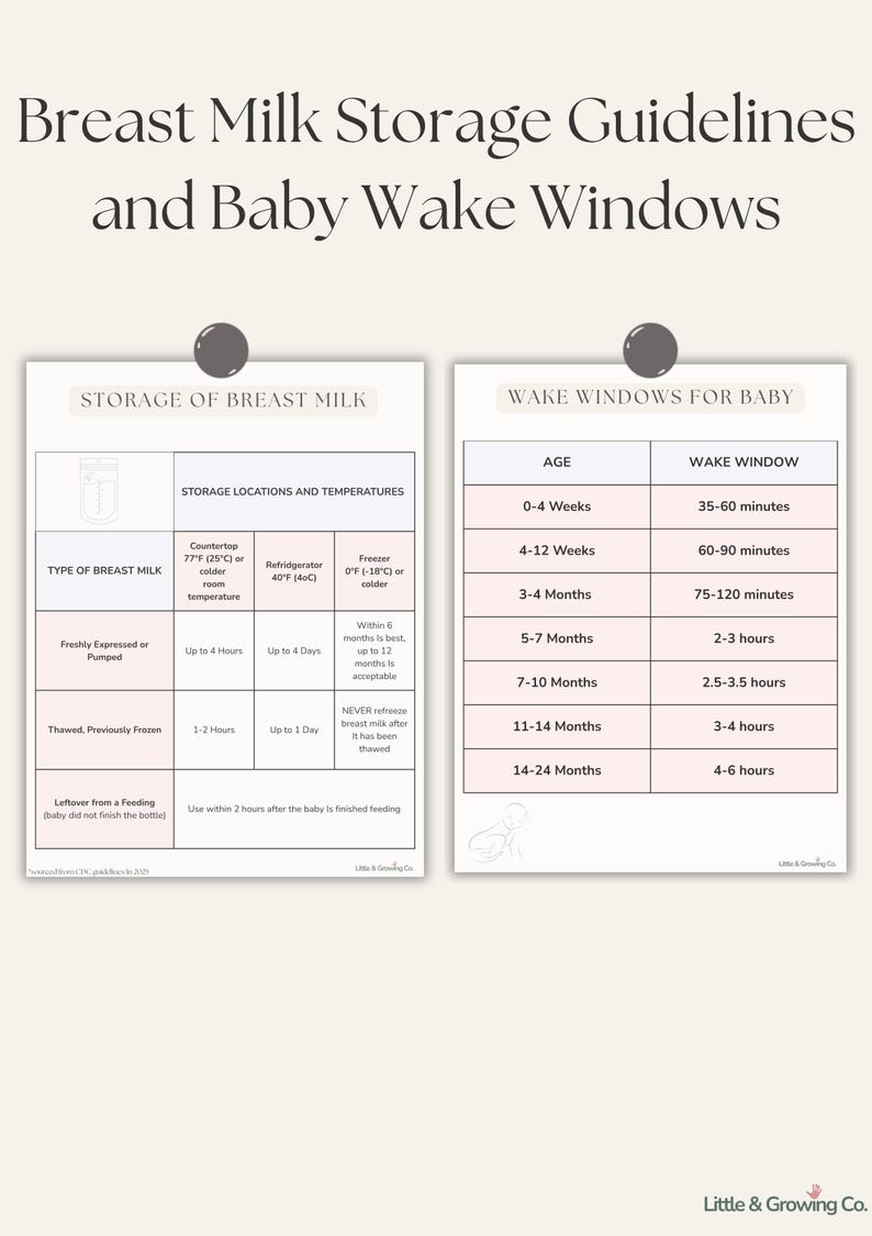 K&ouml;nnte beinhalten: Eine cremefarbene Tabelle mit dem Titel "Richtlinien zur Aufbewahrung von Muttermilch und Baby-Wachfenster". Die Tabelle enth&auml;lt Informationen zur Muttermilchaufbewahrung und zu den Wachfenstern f&uuml;r Babys.
