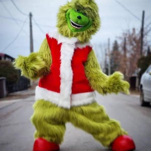 Grinch Christmas costume, Mr. Grinch, Green monster, Grinch costume, Christmas costume, Grinch Stole Christmas