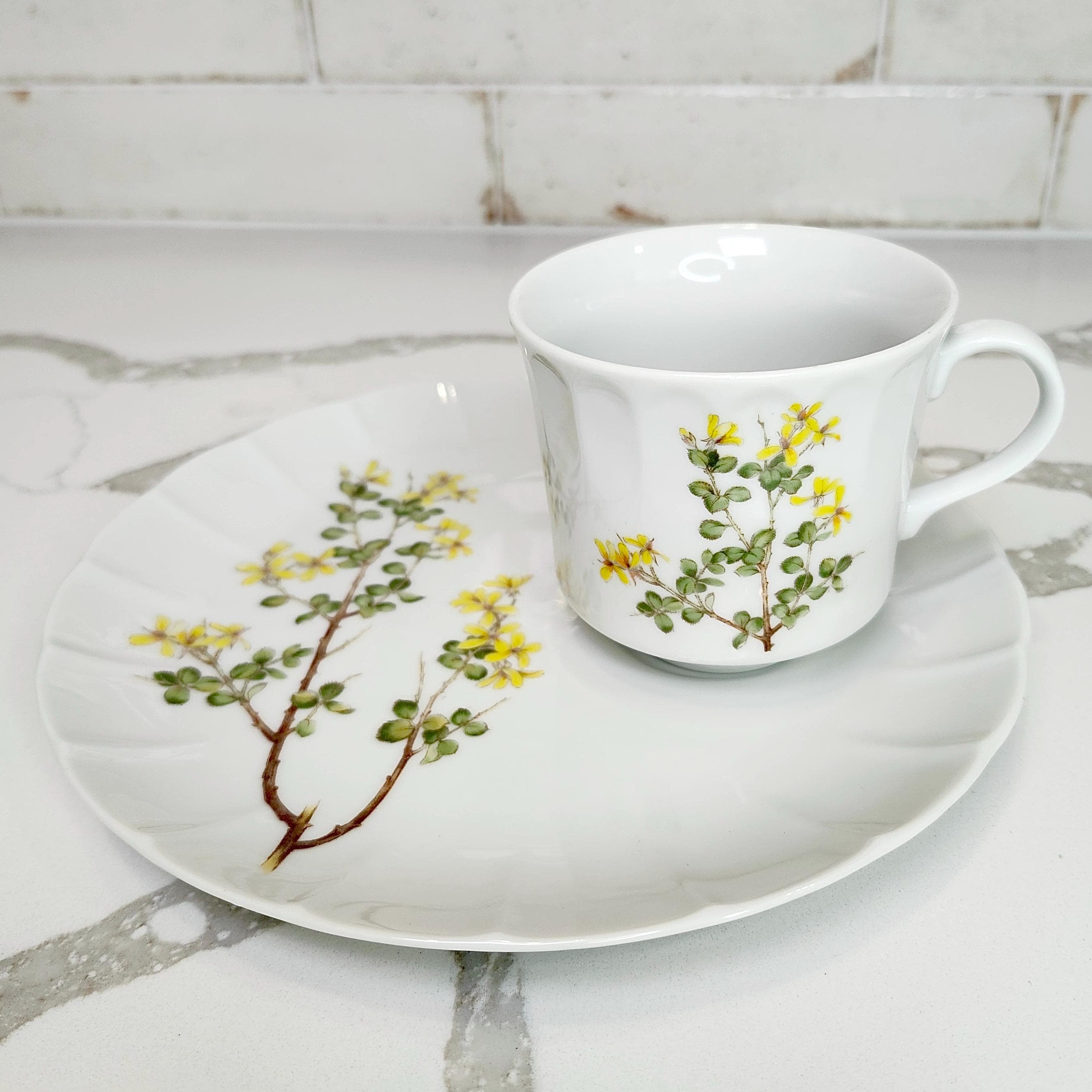 The toscany collection japan tea cup - Etsy 日本