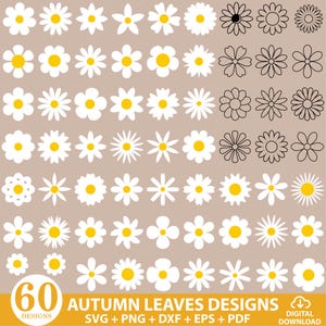 May include: A selection of 60 daisy flower designs, featuring white petals and yellow centres, alongside black outline versions. The image includes the text "AUTUMN LEAVES DESIGNS" and file type information.