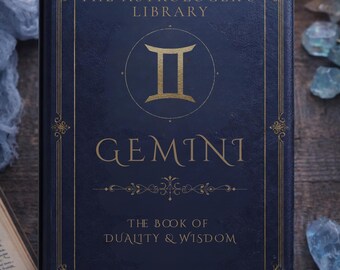 Gemini Kindle Case, Zodiac Kindle Cover, Astrology Kindle Paperwhite Case, Dark Academia Kindle, Gemini Birthday Gift, Booktok Reader Gift