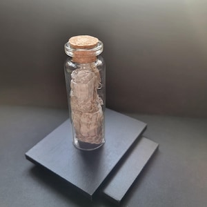 Può includere: Una piccola bottiglia di vetro trasparente con un tappo di sughero, contenente un oggetto strutturato di colore beige chiaro. La bottiglia è su una superficie rettangolare grigio scuro. Lo sfondo è grigio scuro.