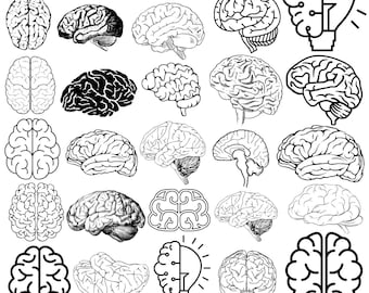 Gehirn SVG PNG Vektor Bundle: Menschliche Anatomie Kunst (Digitaler Download)