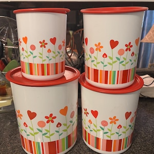 altes Kanister-Set