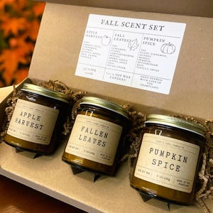 Fall Candles Gift Set | Pumpkin Spice, Apple Harvest, Fallen Leaves Non-Toxic Soy Wax Candles Gift | 3 Pack Candles Gift Set for Fall Lover