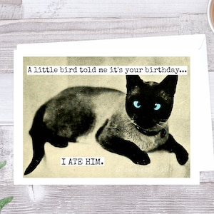 Carte #290. Carte d'anniversaire drôle. Un petit oiseau m'a dit que c'était ton anniversaire... Je l'ai mangé. Carte cat. Chat siamois vintage. Cartes amusantes.