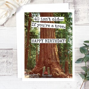 Carte #293. Funny Birthday Card. 40 Isn’t Old... Si vous êtes un arbre - Joyeux anniversaire! 40e carte d’anniversaire. Funny Cartes de vœux. Carte sarcastique.