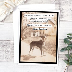 #mr32 de carte. Drôle de carte de voeux. J’offre à mon humain mon jouet préféré comme un gage de mon affection... Carte de chien. Carte de chien. carte de chien vintage.
