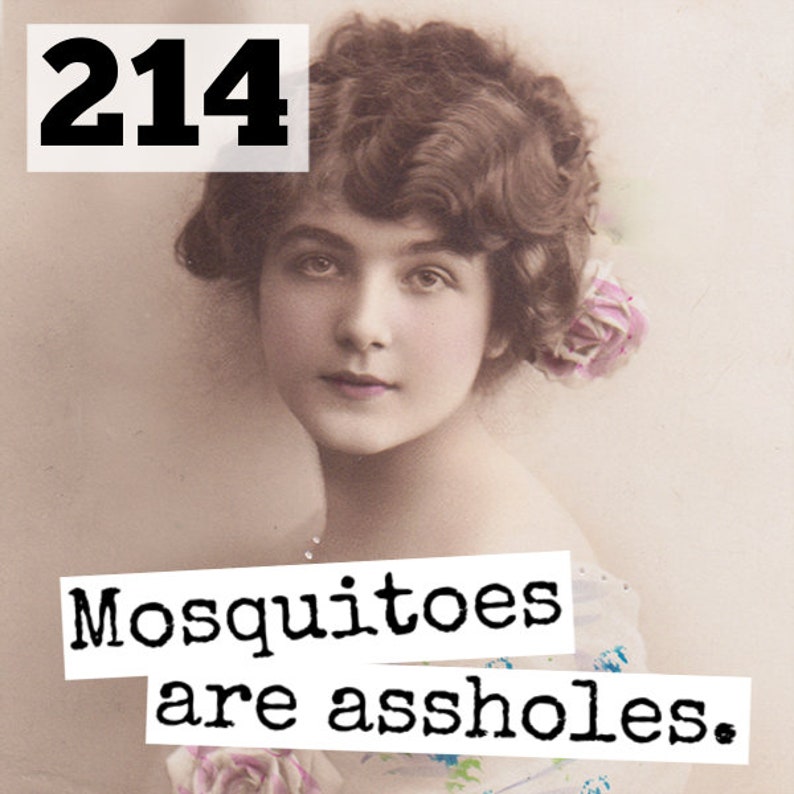 Funny Fridge Magnet Housewarming Gift New Home New House Gift Magnet #214 Party Favor Raven/'s Rest Studio Mosquitoes Funny Magnets