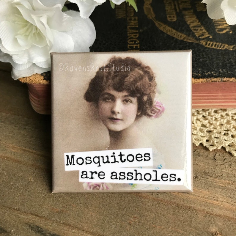 Funny Fridge Magnet Housewarming Gift New Home New House Gift Magnet #214 Party Favor Raven/'s Rest Studio Mosquitoes Funny Magnets