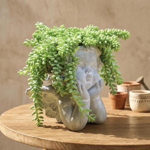 Puede incluir: Una maceta gris con forma de querubín que contiene una planta suculenta verde colgante. La maceta tiene rasgos faciales detallados y está sobre una mesa de madera. Pequeñas macetas de terracota en el fondo.
