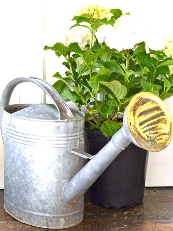 Items similar to large vintage watering can on Etsy