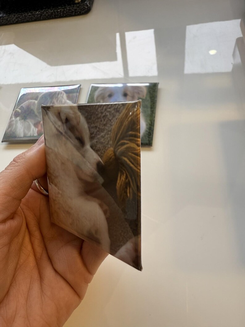 May include: A glossy, square coaster featuring a close-up image of a dog. The coaster has a clear, reflective surface. Two other coasters with similar dog images are visible in the background.