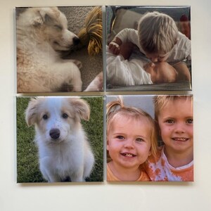 May include: Four square canvas prints. The top left shows a sleeping dog with a yellow rope toy. The top right shows a baby being kissed by a child. The bottom left shows a puppy. The bottom right shows two smiling children.
