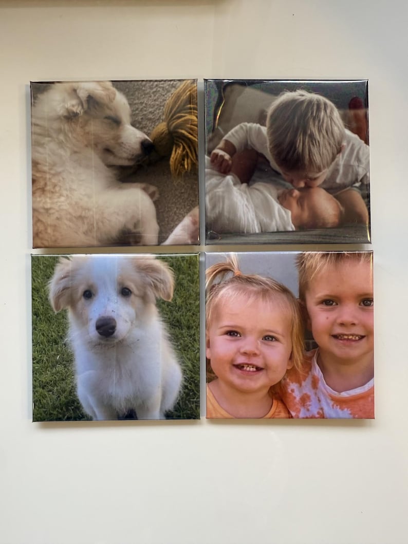 May include: Four square canvas prints. The top left shows a sleeping dog with a yellow rope toy. The top right shows a baby being kissed by a child. The bottom left shows a puppy. The bottom right shows two smiling children.