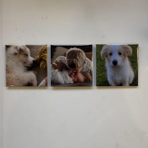 May include: Three square photo tiles. The left tile shows a sleeping white dog with a yellow rope. The center tile shows a baby. The right tile shows a puppy sitting in grass.