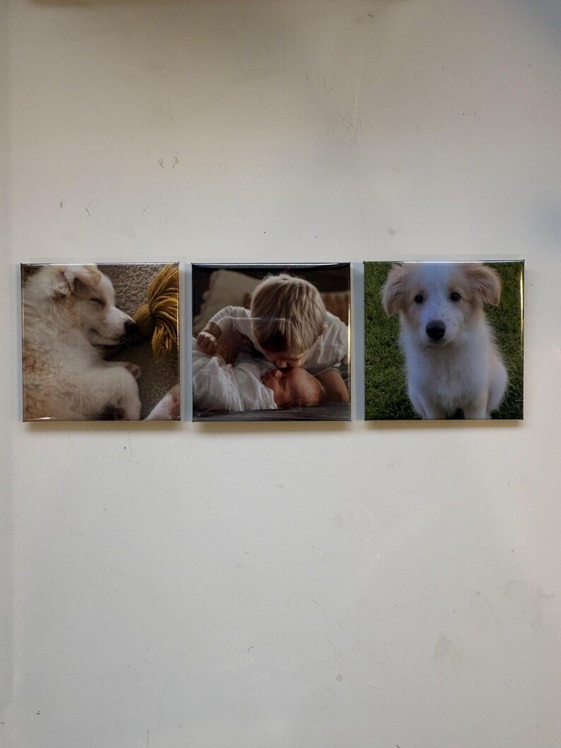 May include: Three square photo tiles. The left tile shows a sleeping white dog with a yellow rope. The center tile shows a baby. The right tile shows a puppy sitting in grass.