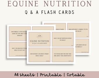 Flashcards de Nutrição Equina | Termos-chave sobre Alimentação e Sistema Digestivo de Cavalos (PDF)