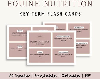 Flashcards de Nutrição Equina | 50 Termos-chave, Cartões de Estudo para Cavalos (PDF)