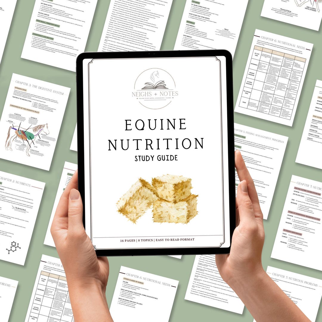 Equine Nutrition Study Guide | Horse Feeding & Diet PDF | Veterinary ...