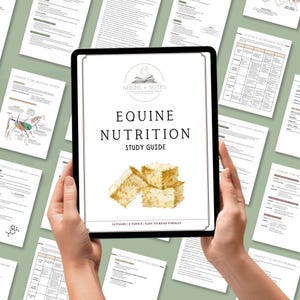 May include: A black tablet displaying an "Equine Nutrition Study Guide" with a watercolor image of hay bales. The tablet is held by hands, surrounded by printed pages with diagrams and text. The guide is 16 pages and 8 topics.