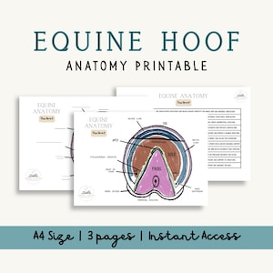 May include: Printable equine hoof anatomy diagrams. The image displays three pages with detailed illustrations of a horse's hoof, labelled with anatomical terms. The text at the top reads "EQUINE HOOF ANATOMY PRINTABLE."