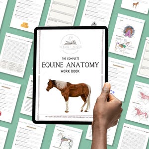 Puede incluir: Una tableta que muestra "The Complete Equine Anatomy Work Book" con una ilustración de un caballo marrón y blanco. El libro de trabajo incluye diagramas, preguntas de respuesta corta y un crucigrama. Páginas sueltas con diagramas de anatomía y preguntas rodean la tableta.