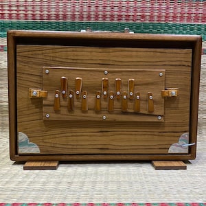 Shruti box - Shruti box a 13 note - Tutto in legno, tasti in legno, 440Hz/432Hz, borsa per il trasporto