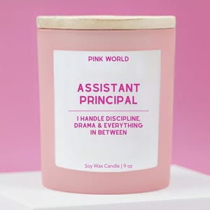Assistant Principal Candle Funny Thank You Gift Box For Assistant Principal Christmas and Birthday Gift